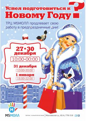 «М5 Молл»: В Рязани откроется резиденция Деда Мороза